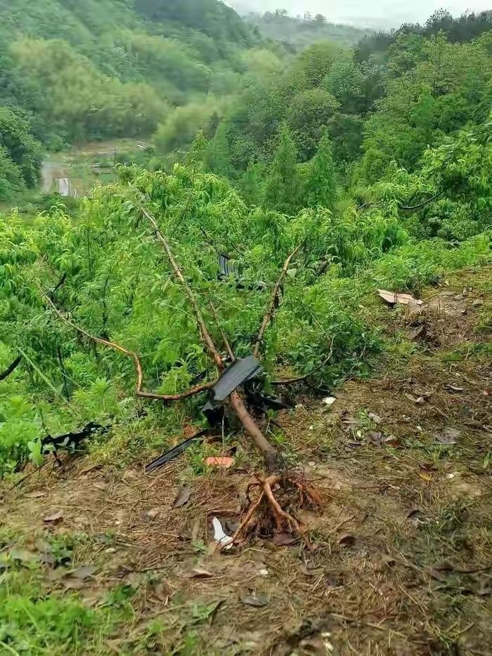 金华夫妻开特斯拉坠崖身亡，记录仪数据消失，特斯拉最新回应