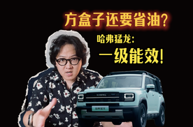 方盒子还要省油？哈弗猛龙：看好了！一级能效！