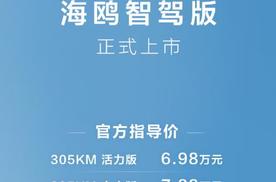 当“全民智驾”从口号走到现实：比亚迪7.88万海鸥智驾版开启全民智驾新篇章