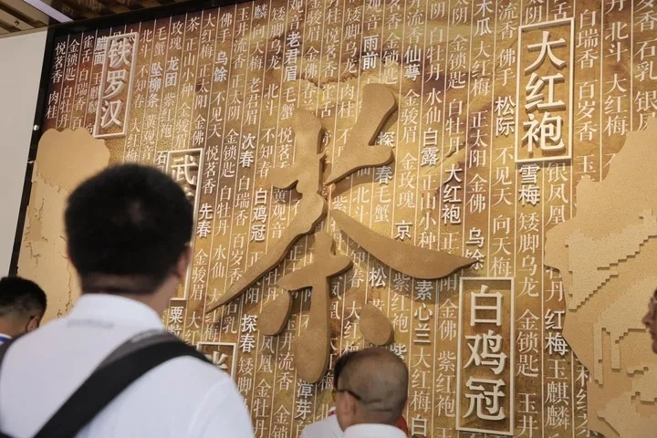 开电动宝马，品茶香茶韵，2023 BMW中国文化之旅再启程