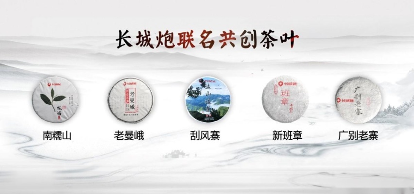 满足西南用户专属需求 长城炮再添定制版车型