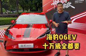 海豹06EV 十万级全都要