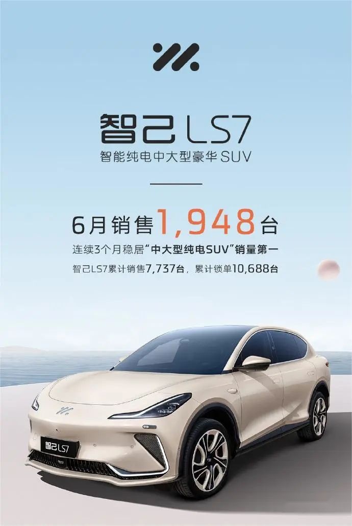 双雄势头不减 整体市场扩张 可视化数据看6月新能源汽车销量