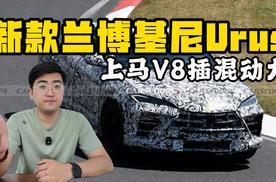 新款兰博基尼Urus Performante 更换V8插混动力