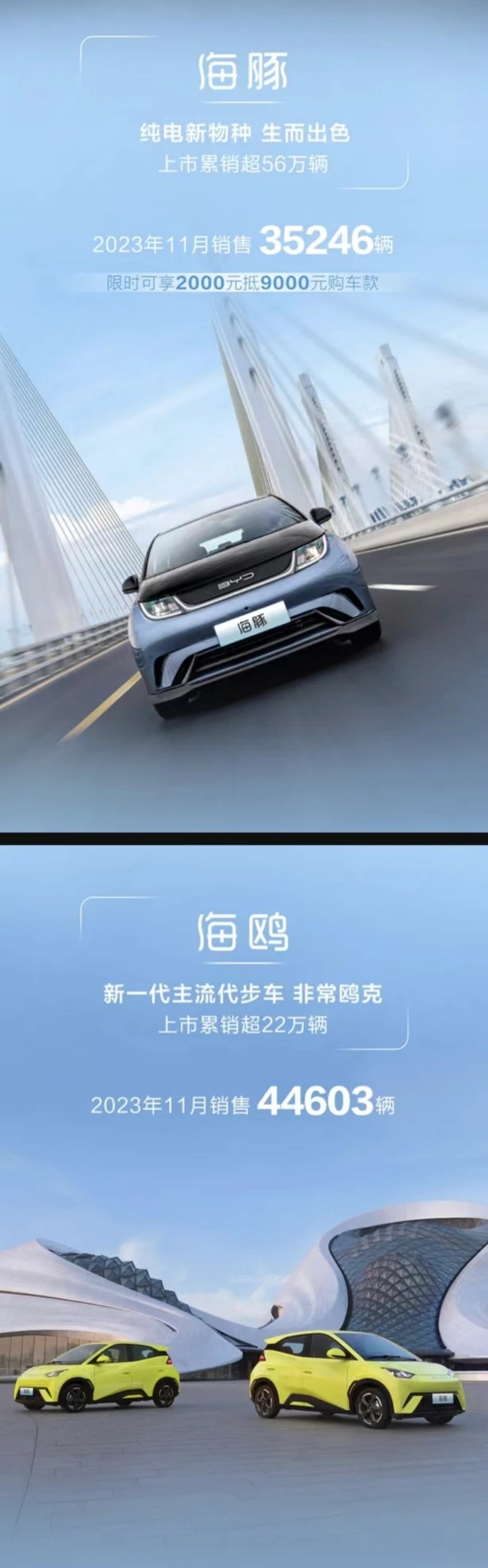 海洋网全面发力，迅速崛起