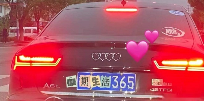 图片13.png