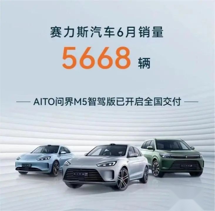 双雄势头不减 整体市场扩张 可视化数据看6月新能源汽车销量