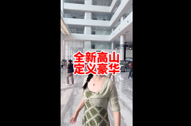 百万级MPV的品质 全新魏牌高山