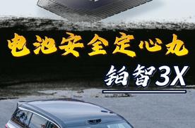 提前满足新国标+“厂家双担责”，铂智3X安全感拉满