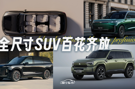 价格跨度超20万，成都车展全尺寸SUV扎堆发布