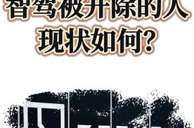 因吐槽公司智驾被开除的人现状如何？