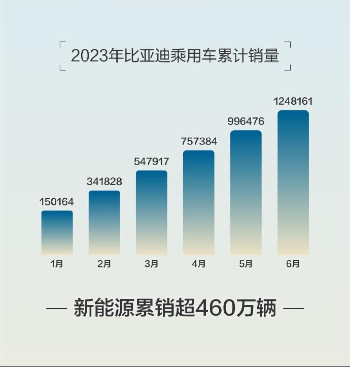 双雄势头不减 整体市场扩张 可视化数据看6月新能源汽车销量