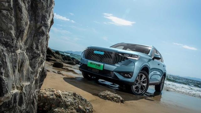 看不懂的魏牌六座SUV，扭转销量？兑现诺言？回怼理想？