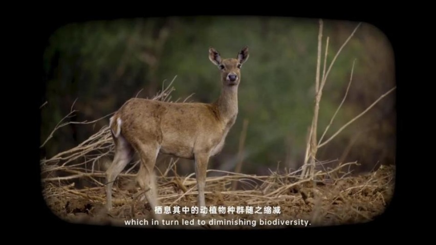 绿色出行是我们对美好生活的向往，与比亚迪共同探寻神秘的海南岛