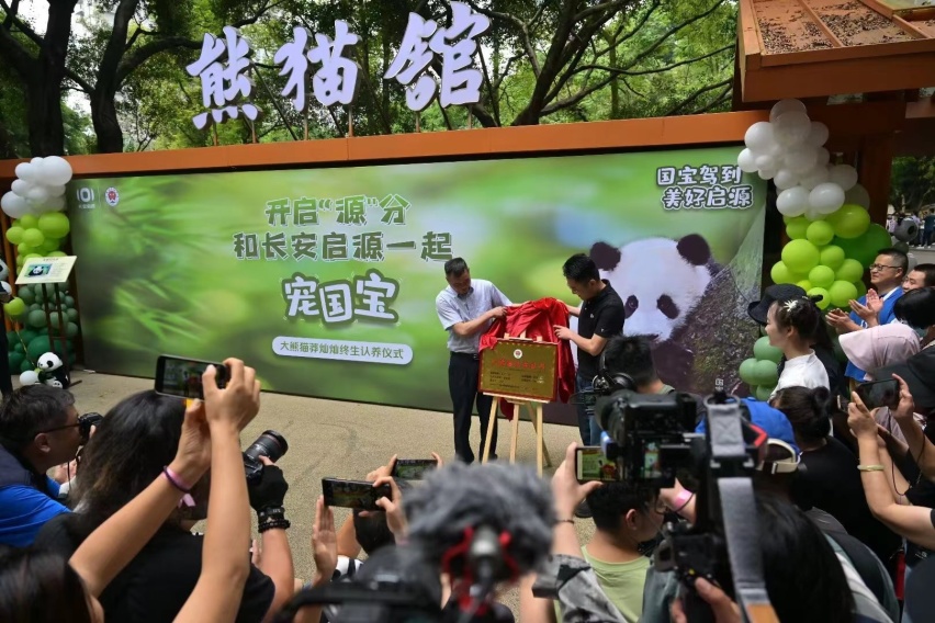“莽小五”和杰伦成同事啦！长安启源收集顶流，加倍宠粉