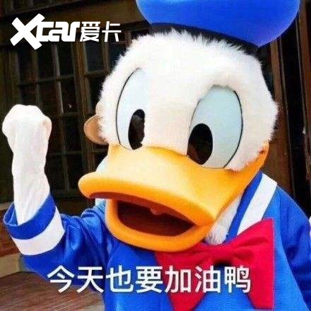 小米强势入局能否成为小鹏汽车的指路明灯