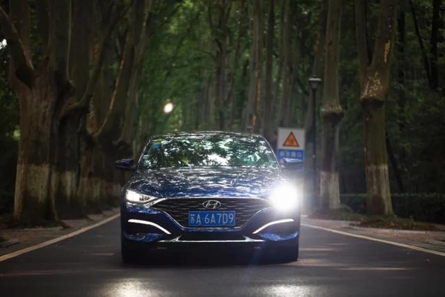 夜泊古秦淮、日探紫金山，梧桐下与北京现代菲斯塔畅游南京