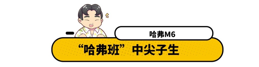 名声不显很低调，这几款车却发了大财，看到价格我也心动了！