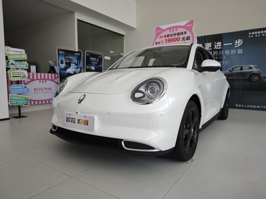 适合女性的纯电小车，2024款欧拉好猫到店实拍，降价还增配