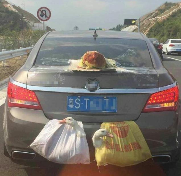 2370L超大空间床都能放下！10万级中型SUV东风风行T5L