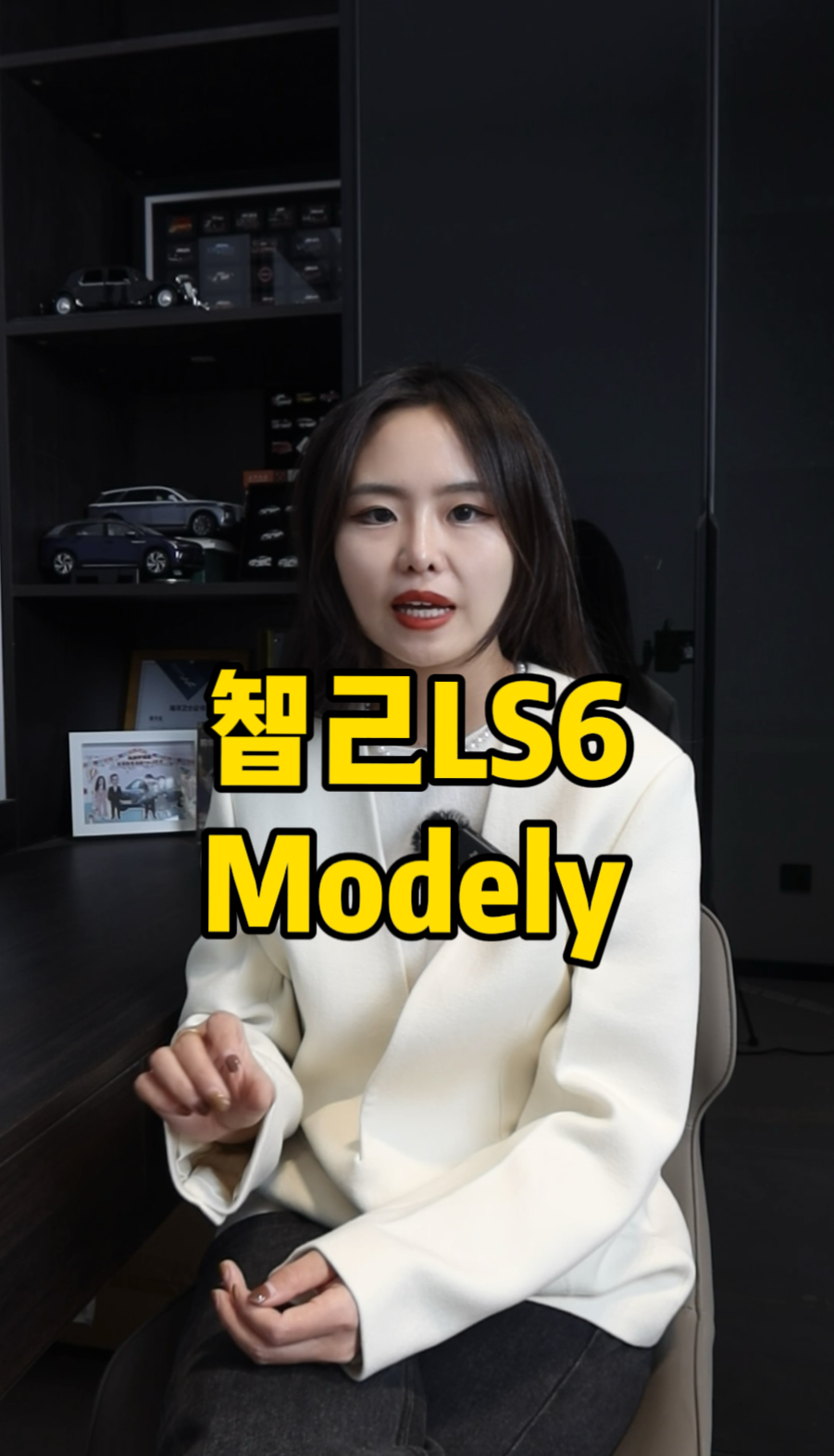 20f늄܇ModelYǼLS6@ôx