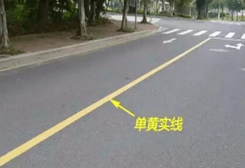 单黄线和双黄线有什么区别？交警：这都分不清，12分几天就扣光！