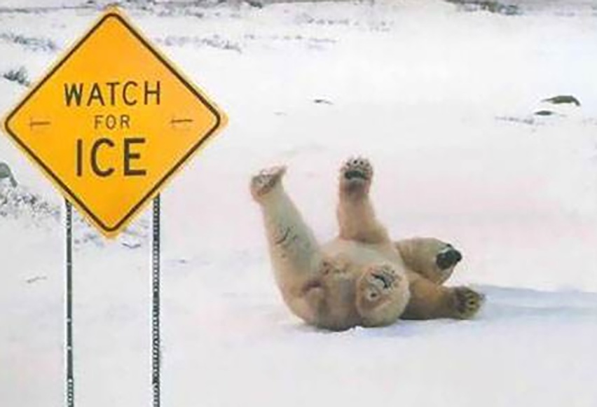 春运遇到大雪、电车遭遇低温，滞留在高速公路上要如何自救？