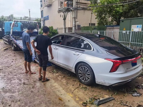 风雨有情 红旗有爱 红旗品牌与用户携手共克时艰