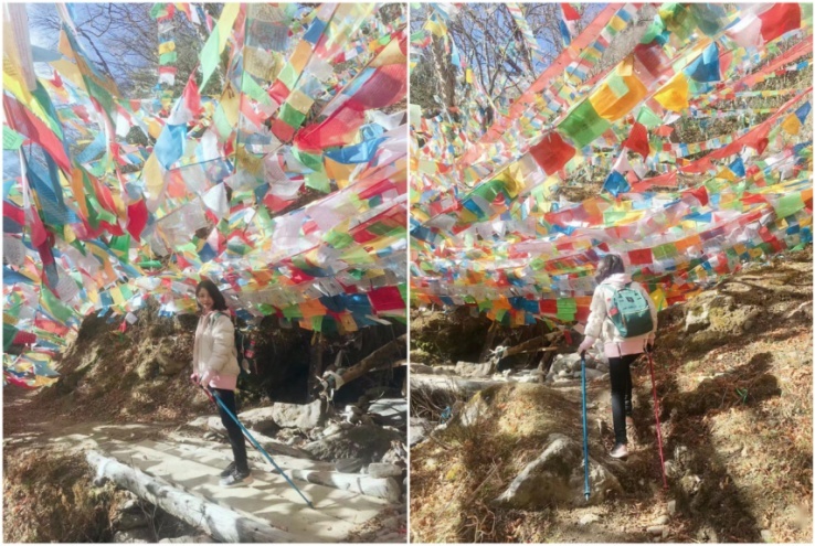 心中有丘壑 眉间显山河 安妮的CR-V 锐·混动e+寻常不普通