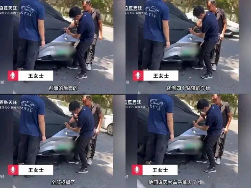 撬了车标就不是极狐？掩耳盗铃罢了