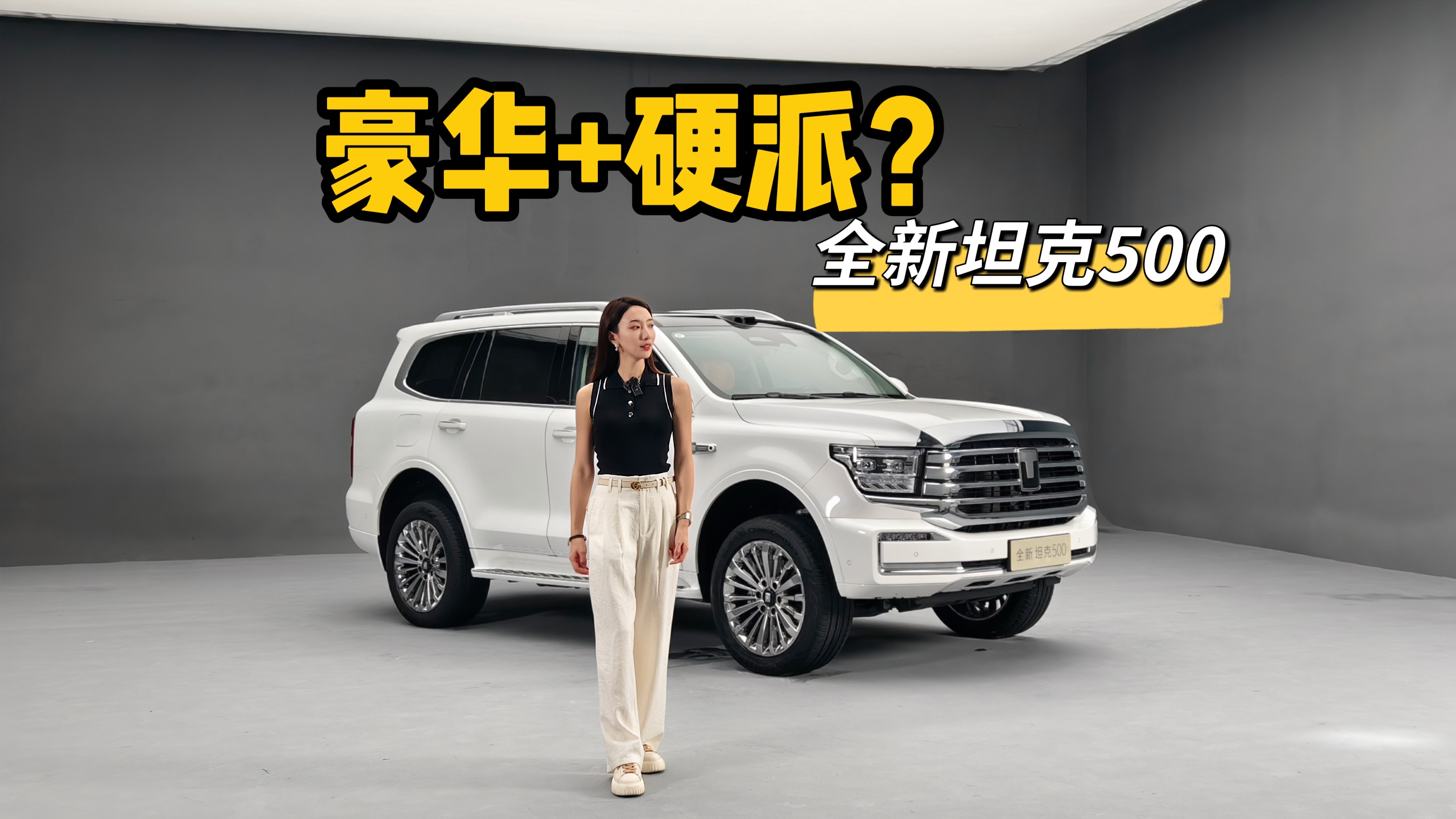 Ӳ��ԽҰҲ������ȫ��̹��500������ʲô��