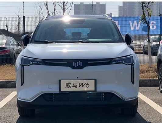 W6出现续航缩水和黑屏现象，车主称售后一直不积极处理
