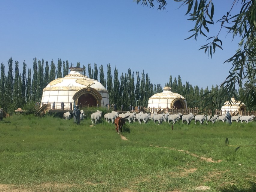环华游记 内蒙篇：关于内蒙，绝不应止于草原（上）