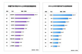 新能源汽车表现出色，中国新能源汽车为何成为“世界宠儿”