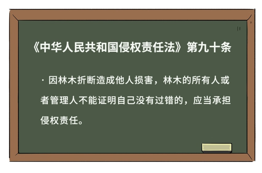 大风刮倒了树，树砸了车，该找谁赔？