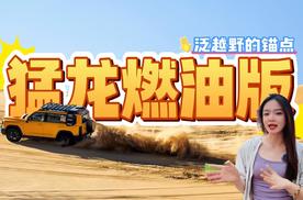 哈弗猛龙燃油版，作为泛越野文化的锚点，是否可以