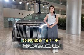 30.98万起还“留了一手” 魏牌全新高山正式上市