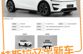 特斯拉又一新车来了，能卖得过国产新能源吗？