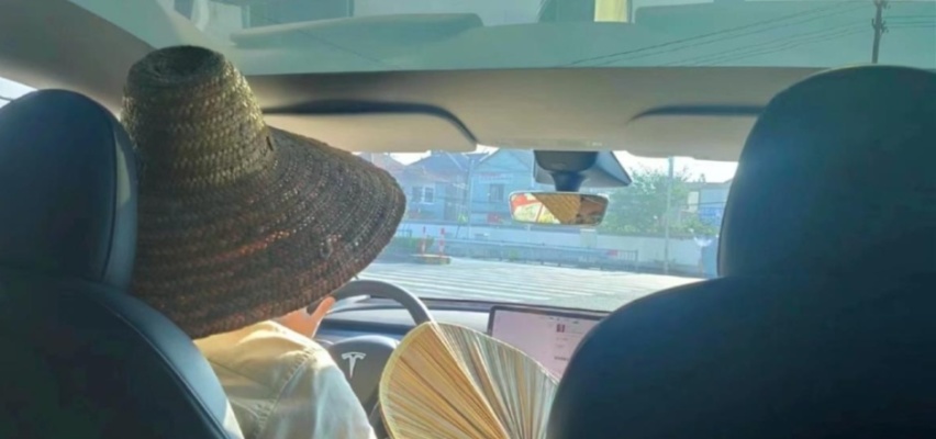 车内戴草帽，高温行驶死机趴窝，“三伏天”的新能源车被骂惨了