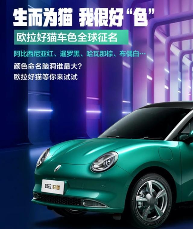 欧拉：不一定捉得住老鼠的才是