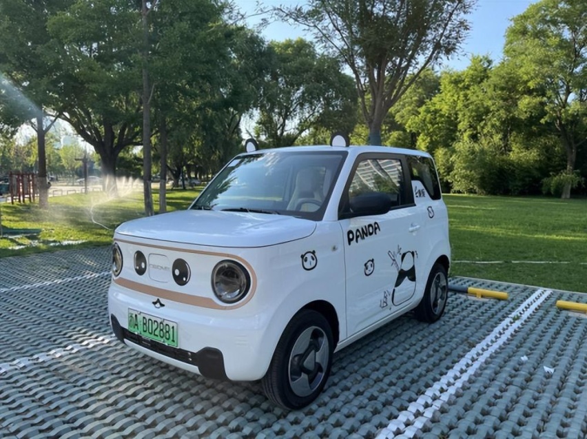 探秘熊猫mini“火”起来的原因