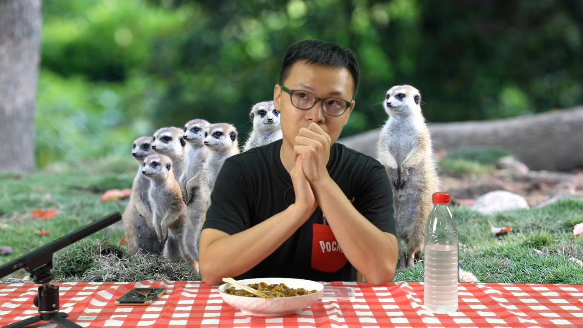 f׿ȫһwȣʲô(dng)wȲ(hu)(li)Ї(gu)