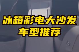 预算30万,要求冰箱彩电大沙发,有什么车型推荐？