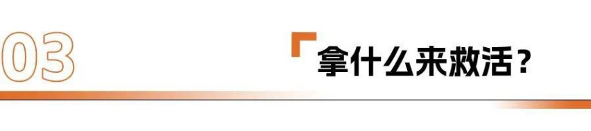 宝骏：拿什么来救活你？