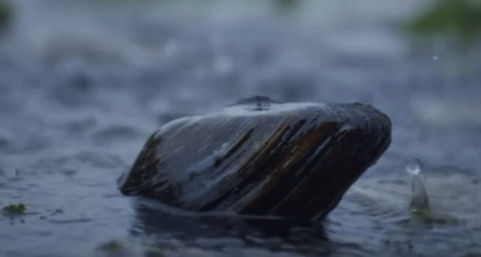 �ȁ��ϳ�Ʒ�ĺӰ�������ļ��Ͼ���