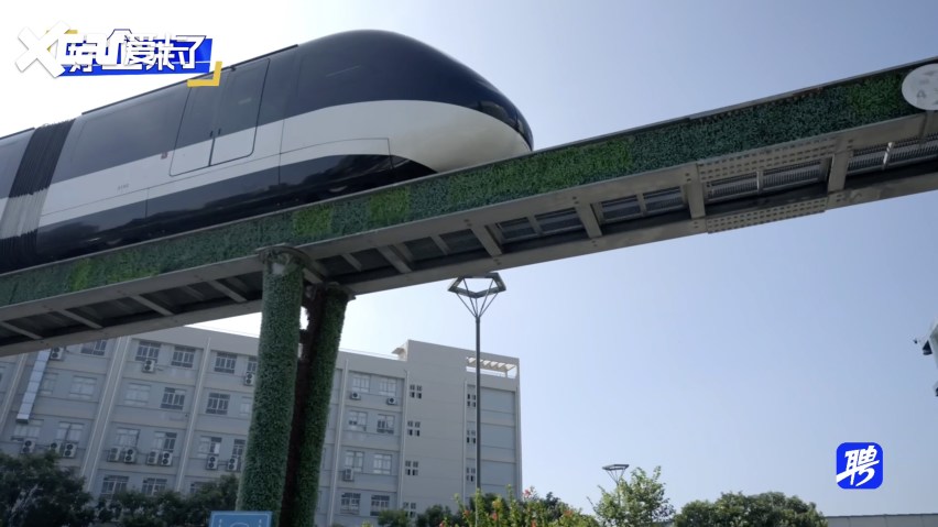 吃喝玩乐做研究，比亚迪上班好上头