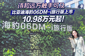 诗和远方触手可及，比亚迪海豹06DM-i旅行版上市10.98万元起！