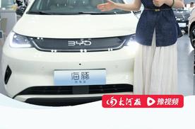 比亚迪海豚一口价7.78万,闭眼就买TA