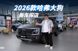 探店2026款哈弗大狗：可城可野，80万车主的选择