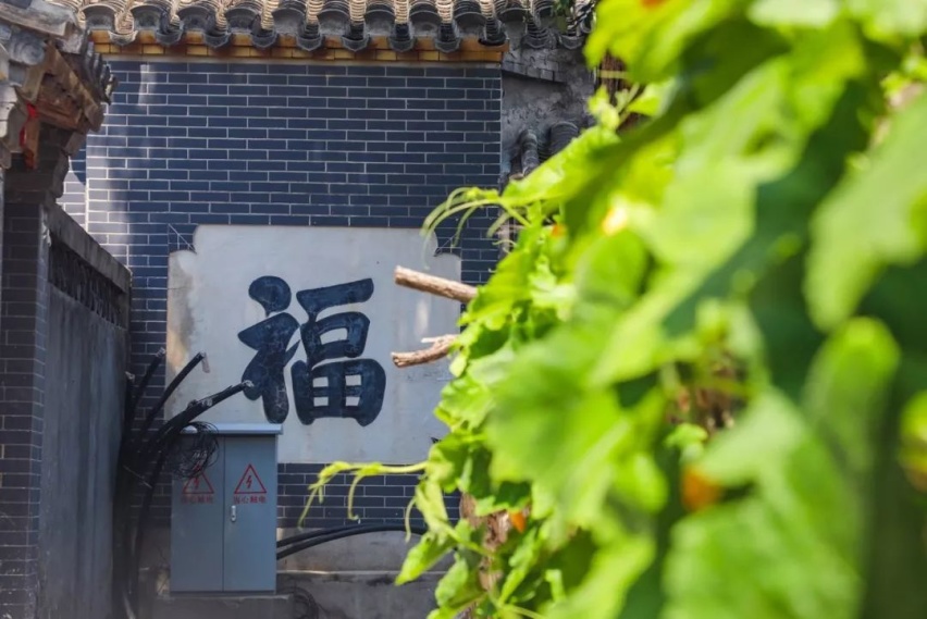 最美公路丨险与美共存，记雷克萨斯NX 300挂壁公路之行